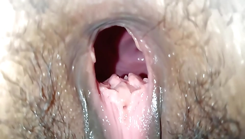 Indian porn with amateur bhabhi having sex with her friend