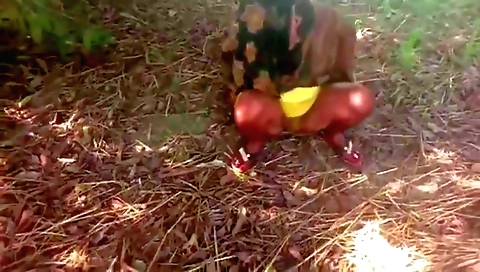 A brunette in white dress plays with a dildo in the yard