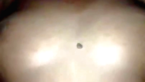 Cunnilingus and sex with a hairy brunette in amateur